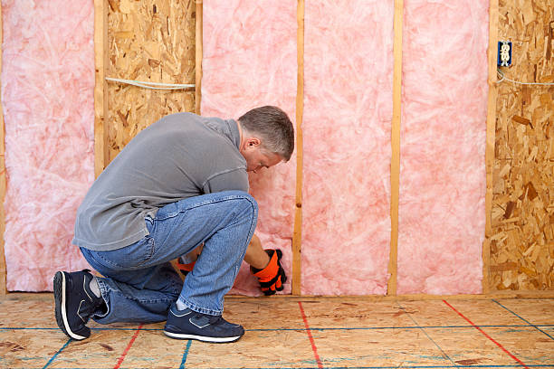 Best Eco-Friendly Insulation in North Fair Oaks, CA